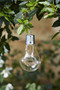 Smart Garden Solar Eureka Lightbulb 