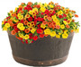 Oakwood 50cm Barrel Planter 