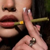  DaySavers Half Gram 1 1/4 Green Hybrid Hemp Blunt Wrap Artisan Pre Rolled Tubes with Spiral Filter Tips [Pack of 10 Tubes] 