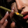  DaySavers Half Gram 1 1/4 Green Hybrid Hemp Blunt Wrap Artisan Pre Rolled Tubes with Spiral Filter Tips [Pack of 20 Tubes] 