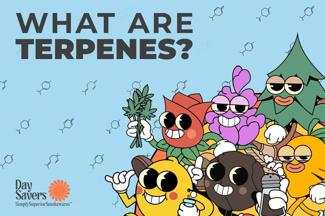 What are Terpenes?