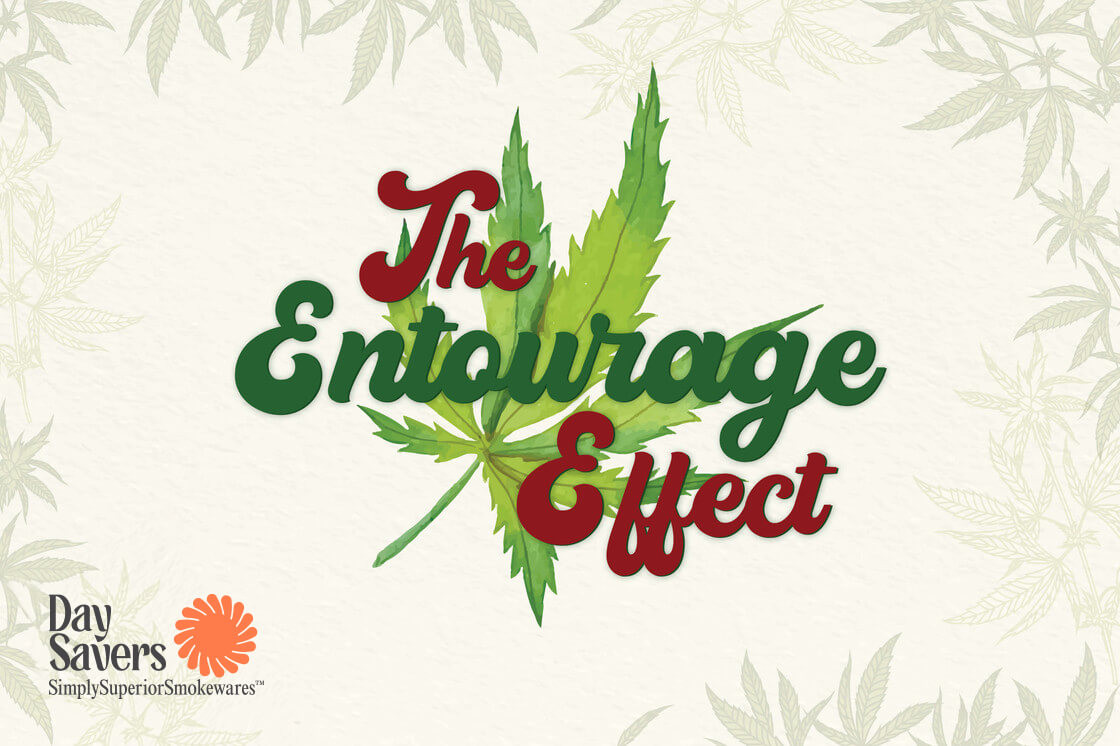 What is the Entourage Effect And How to Take Advantage of It What is the Entourage Effect And How to Take Advantage of It