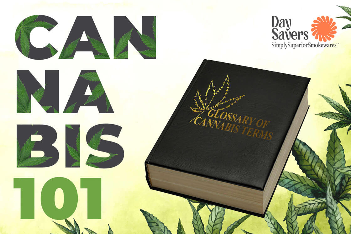 Cannabis 101: A Glossary of Cannabis Terms - DaySavers