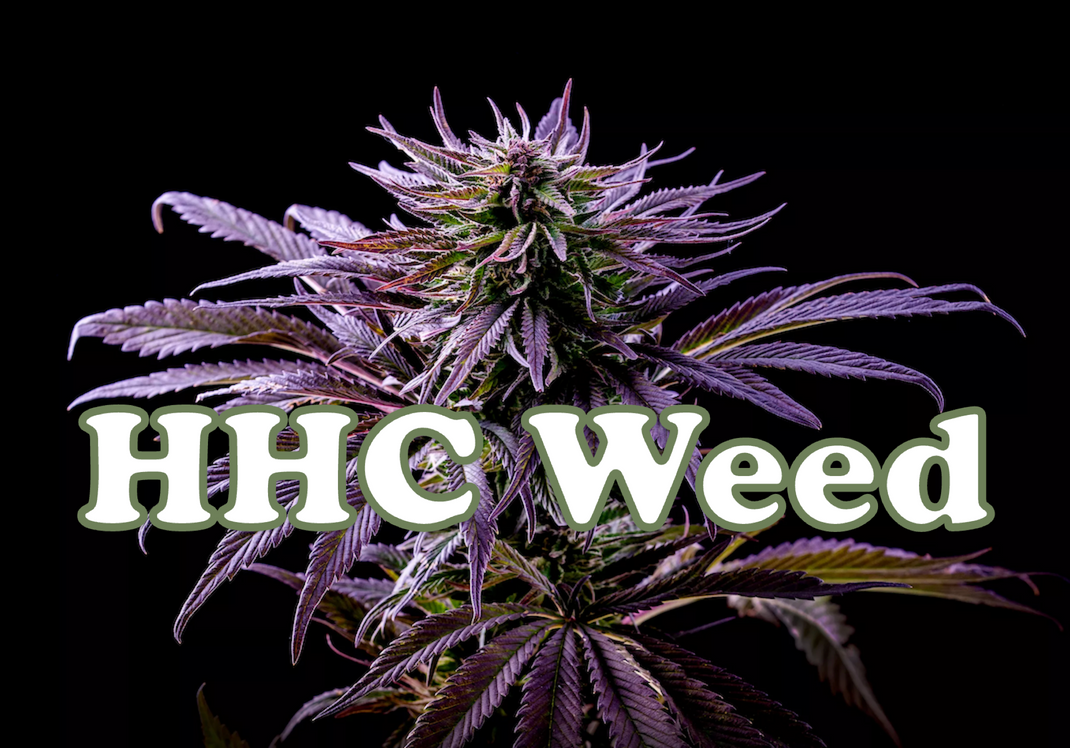 What are HHC Pre-Rolls?