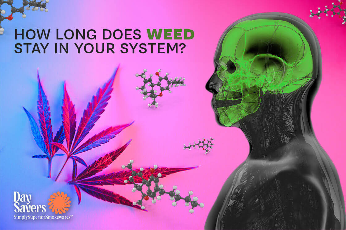 How Long Does Weed Stay in Your System?