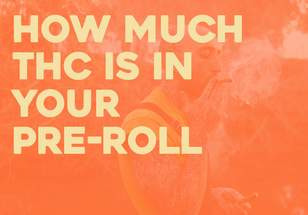 How Much THC are in Joints & Blunts?