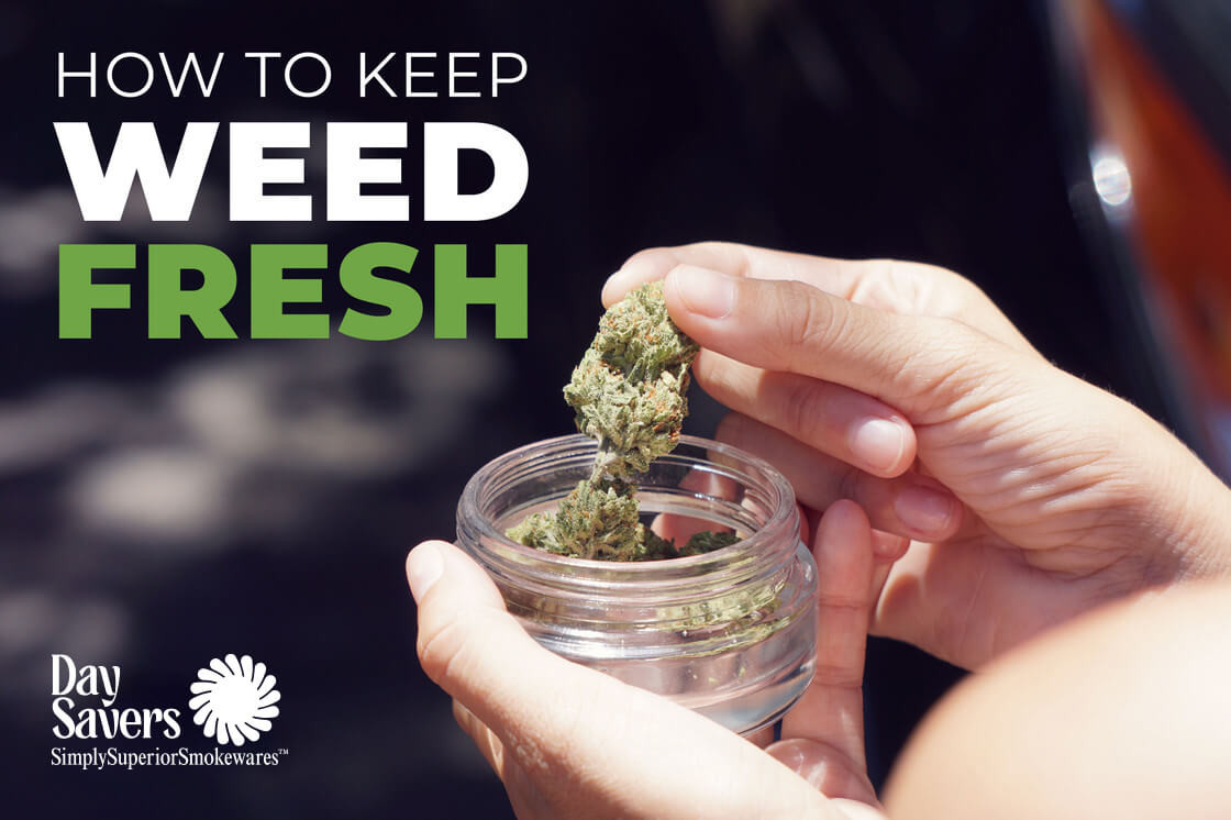 Best Ways to Keep Weed Fresh Best Ways to Keep Weed Fresh