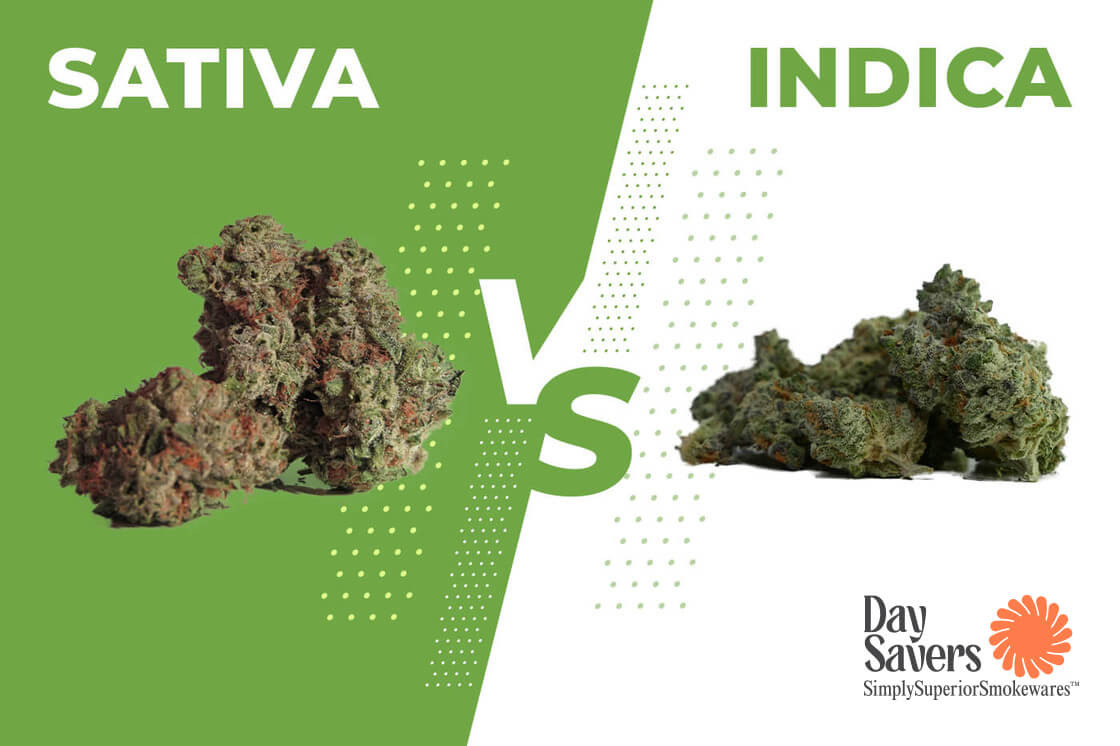 The Difference Between Sativa and Indica and Why You Should Care The Difference Between Sativa and Indica and Why You Should Care
