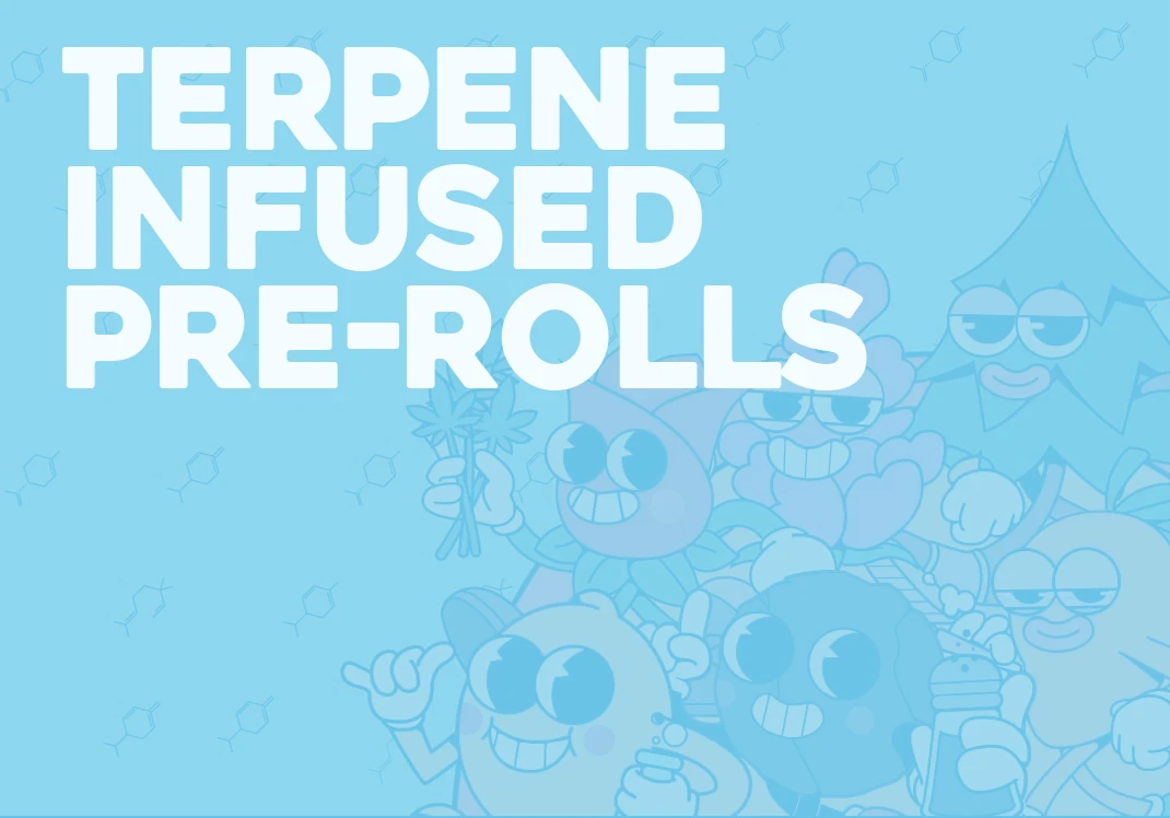 What are Terpene Infused Pre-Rolls?