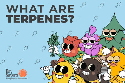 What are Terpenes?