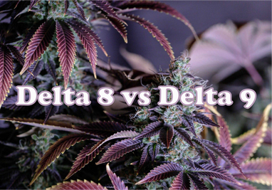 What’s the Difference Between Delta 8 vs. Delta 9 THC?