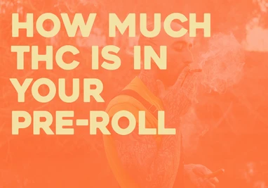 How Much THC are in Joints & Blunts?