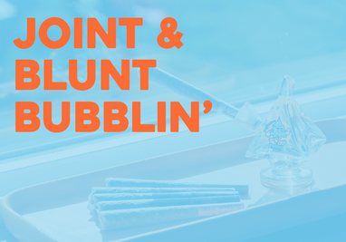 Joint & Blunt Bubblers