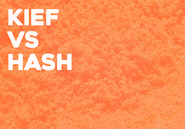 Kief vs. Hash - What's the Difference?