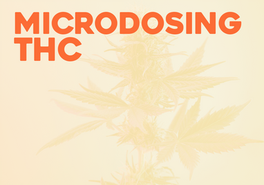 Why and How to Microdose THC