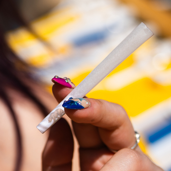 Refined White [20 per case]