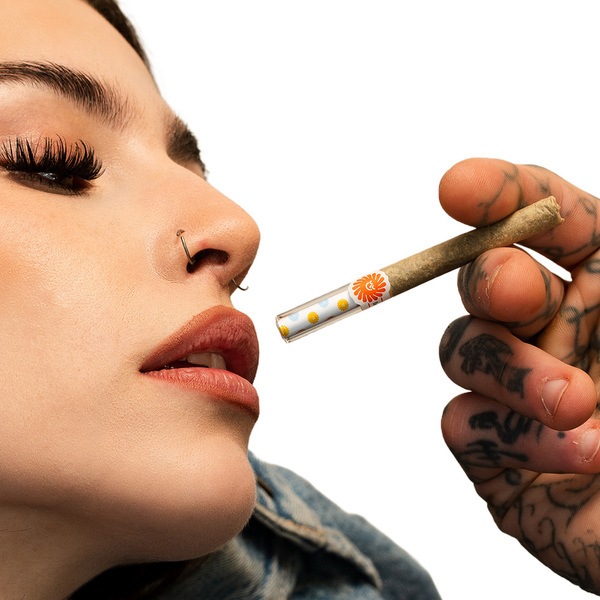 Dual Glass Filter Tip [10 Pack]