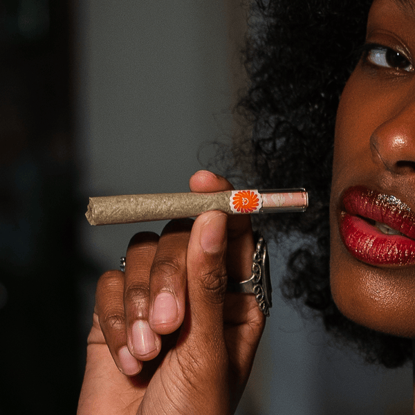 DaySavers Display Box - 90mm/30mm Glass Tipped Cones