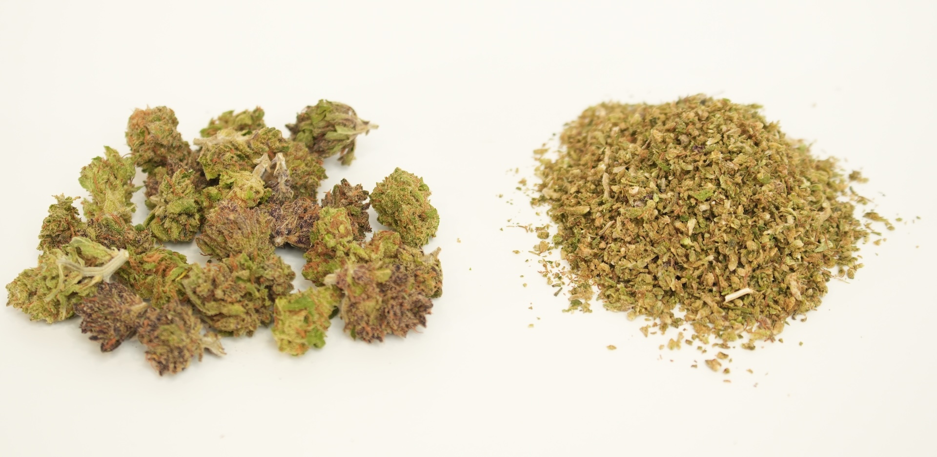 eigth bud