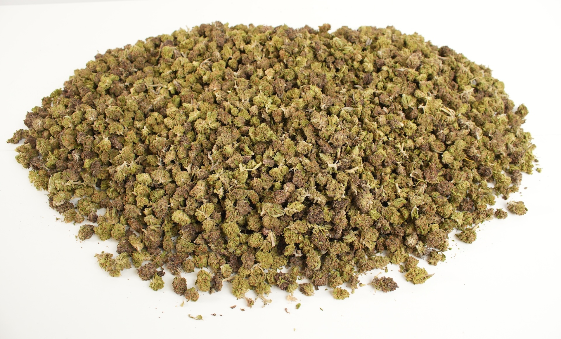 pound bud