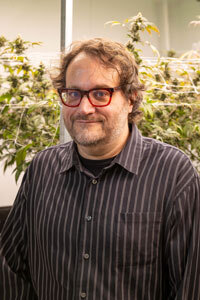 cannabis degrees and certificates