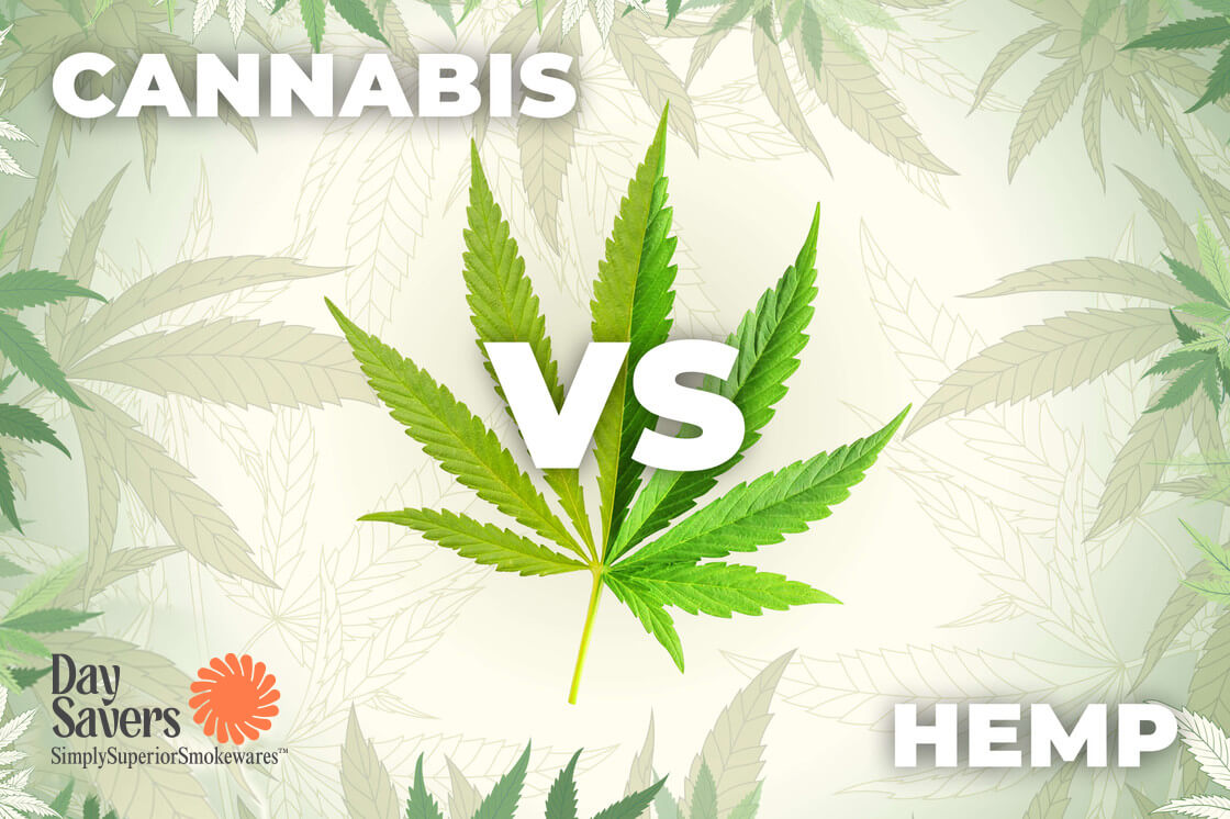 Are Hemp and Marijuana the Same? 4 Important Differences Between Hemp and Cannabis DaySavers
