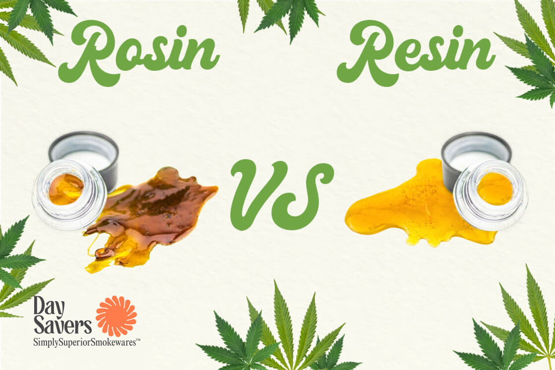 What is the Difference Between Resin vs Rosin? Sesh