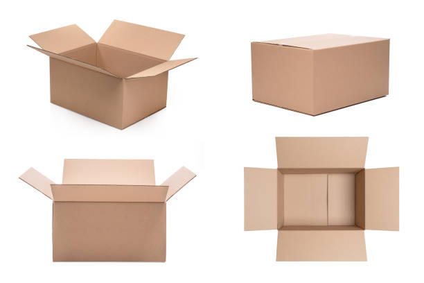 box4.jpeg