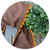 Custom Cotton Sashes with trim