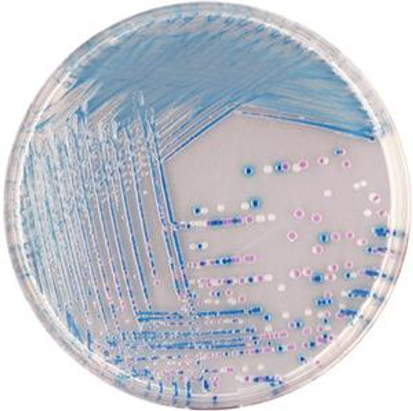 EZ-CHROM E. coli O157 Prepared Plates (20 Plates)