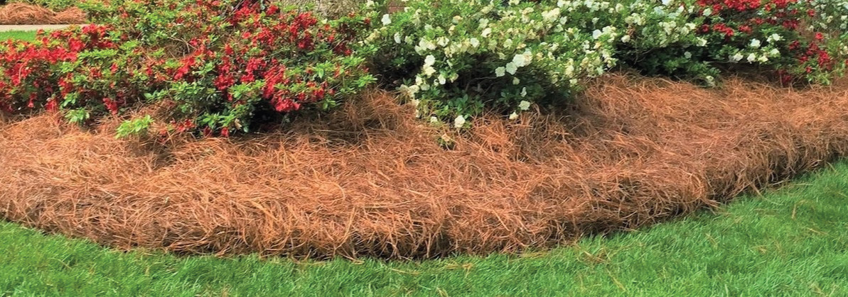 Mini Round Balers for Pine Straw