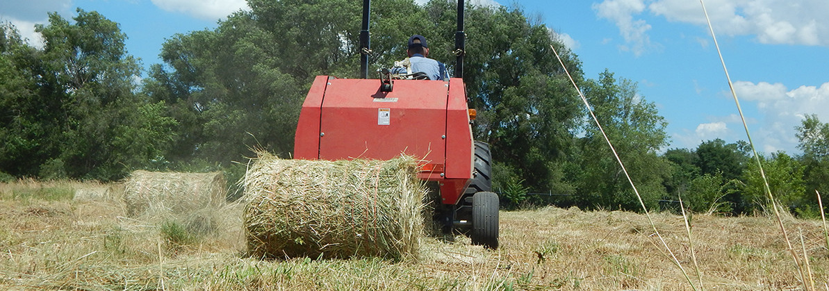 How to Make Very Small Hay or Straw Bales