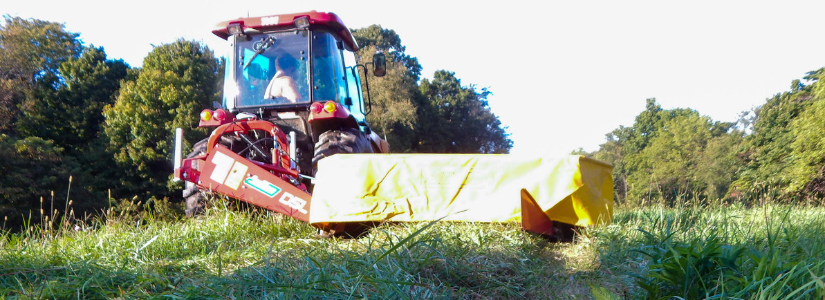 Hay Cuttings: Which Ones for Which Species?