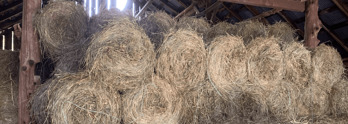 Tips for Storing Hay