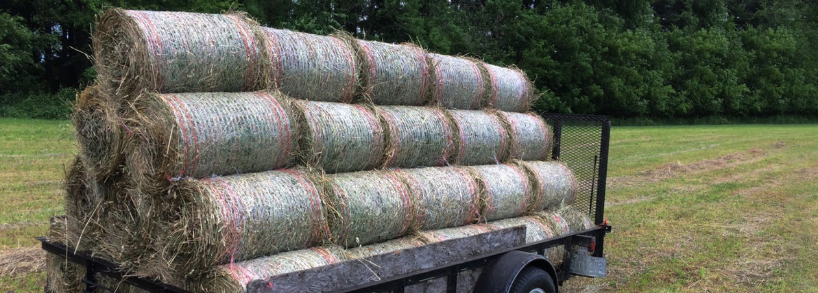 Finding a Hay Market