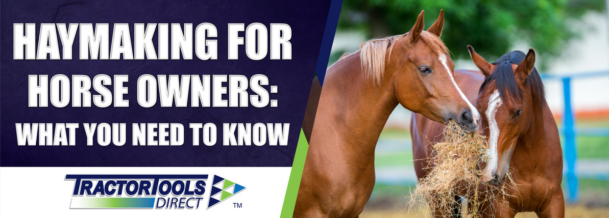 Haymaking for Horse Owners: What You Need to Know