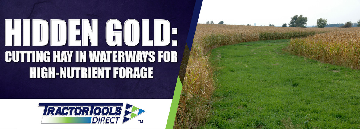 Hidden Gold: Cutting Hay in Waterways for High-Nutrient Forage