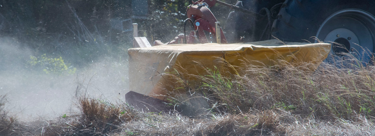 When to Cut Your Hay