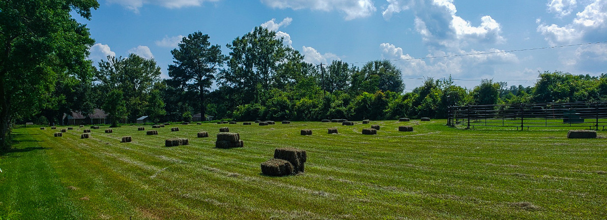 Back by popular demand! The new and improved Hay Calculator!