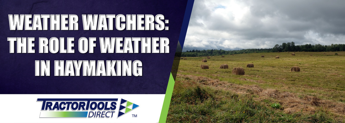 Weather Watchers: The Role of Weather in Haymaking