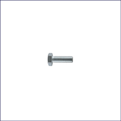 Screw M10X30