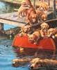 Dog Paddle_2