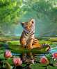 Tiger Lily_0