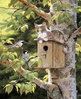 Housesitting 0