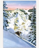  Aspen Stave Puzzles 