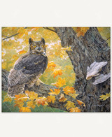 Autumn Owl 1