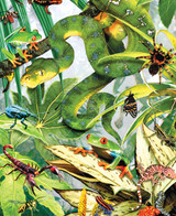 Scary Creatures 0