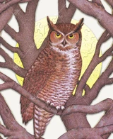 Hunter's Moon 0