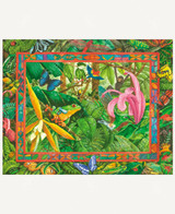 Rainforest Wonders 1