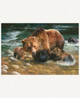 Testing The Waters 1